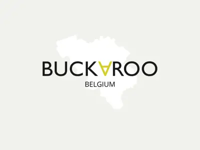 Buckaroo vise le marché du paiement en ligne Belgique