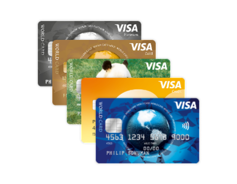 Kostenloses Buckaroo-Konto -Visa-Akzeptanz in Ihrem Webshop