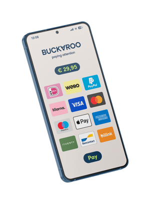 Online betalingen accepteren - iDEAL - Bancontact - Klarna - Achteraf Betalen