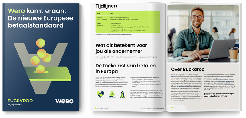 Wero vervanger van iDEAL webshop